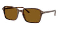 Ray-Ban Raimond RB 2231 1418/33 - As Seen On Alex Warren