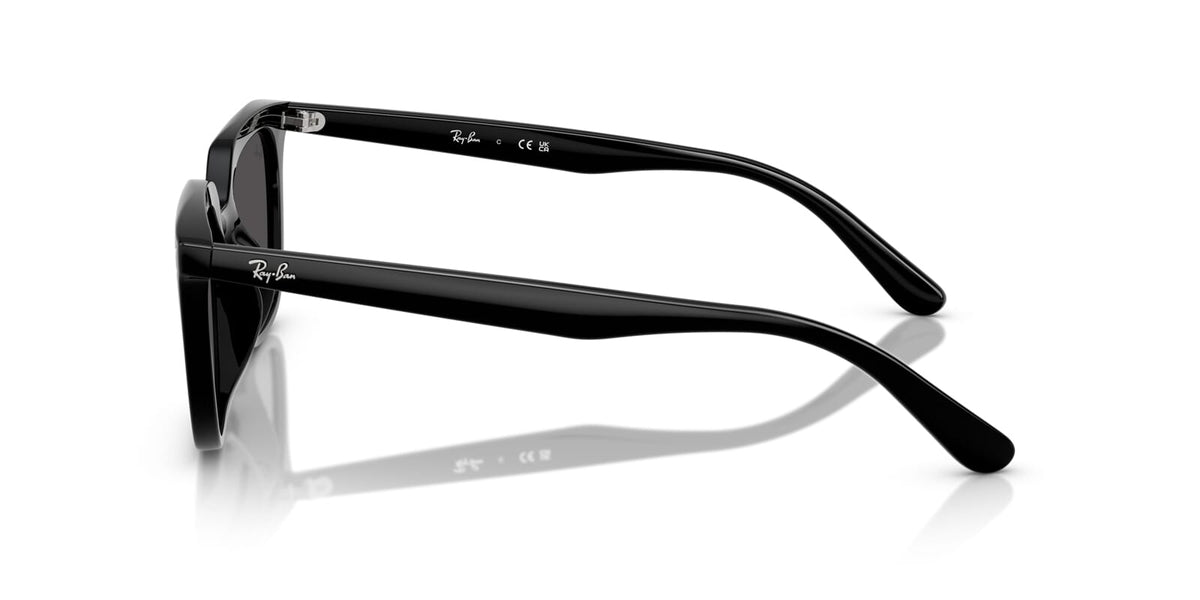 Ray-Ban RB 4439D 901/87 - As Seen On Filip Lamprecht